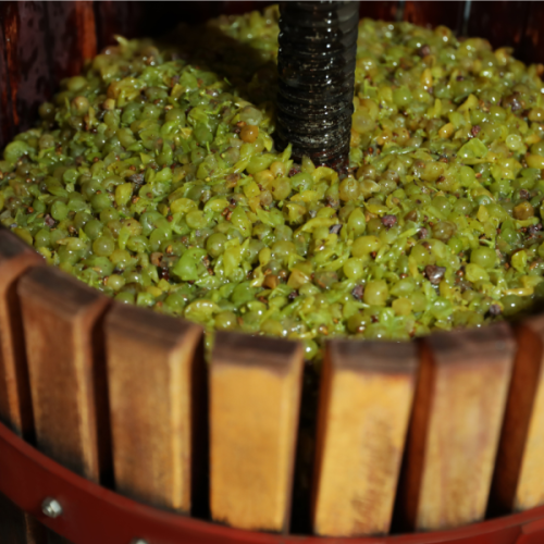 Borászati kellékek, segédanyagok-prés_8